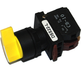 Switches and Lamps - Switches - DSS22-L020Y