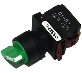 Switches and Lamps - Switches - DSS22-L111G
