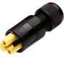 Weatherproof/Waterproof Connectors - TeePlug & Sockets - THB.382.B2A.AG - TeePlug Powersocket 2 pole Screw silver plated terminal 7mm to 9.5mm cable diameter, 4 mm max conductor size IP40 17A 400V 1 cable entry