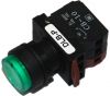 Switches and Lamps - Switches - DLB22-P11GI