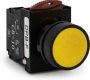 Switches and Lamps - Switches - DPB22-F11Y - Flush head push button switch 1a 1b Yellow cap