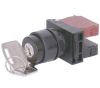 Switches and Lamps - Switches - DSS22-K211B