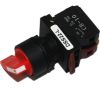 Switches and Lamps - Switches - DSS22-L320R