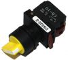 Switches and Lamps - Switches - DSS22-S111Y