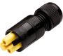 Weatherproof/Waterproof Connectors - TeePlug & Sockets - THB.382.B2A.AG - TeePlug Powersocket 2 pole Screw silver plated terminal 7mm to 9.5mm cable diameter, 4 mm max conductor size IP40 17A 400V 1 cable entry